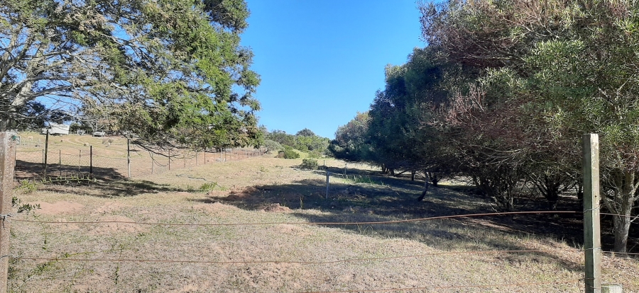 Commercial Property for Sale in Bergsig Western Cape